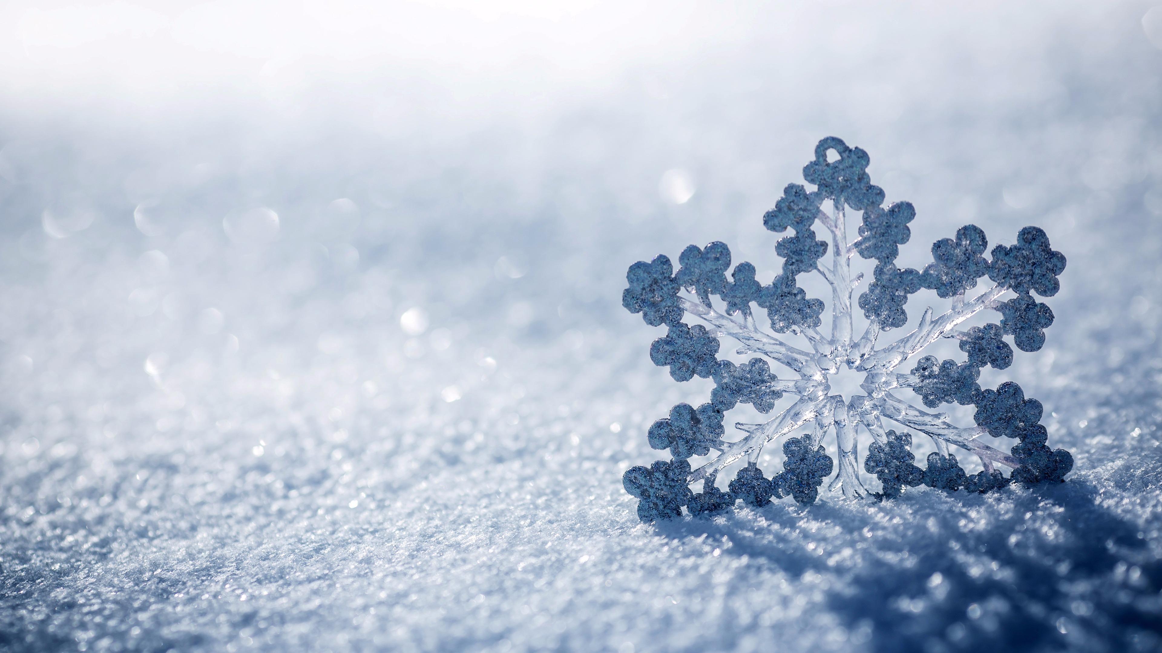 3840x2160 Snowflake In The Snow 4K UltraHD Wallpaper. Wallpaper
