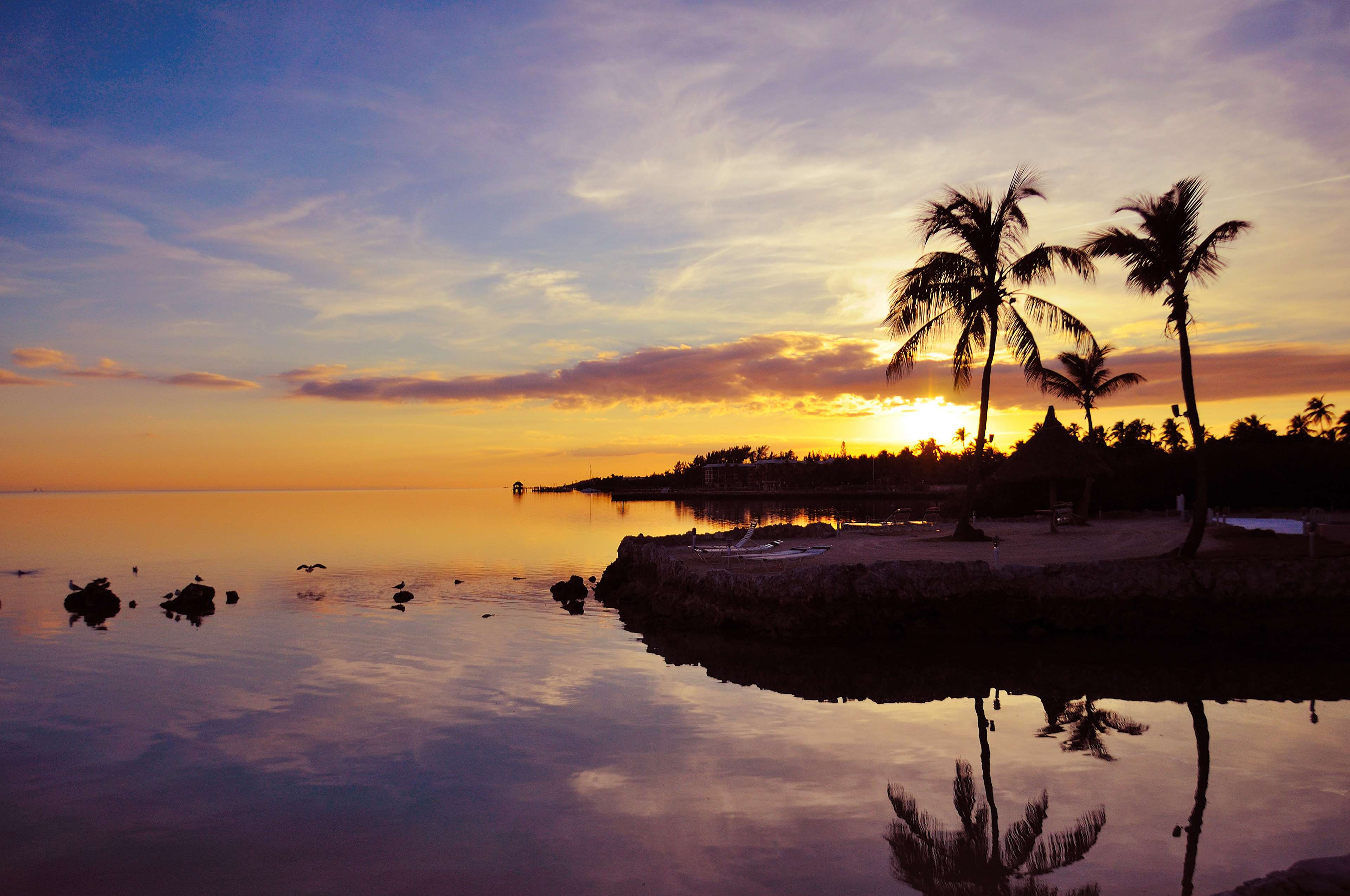 Florida Beach Sunset Wallpapers Top Free Florida Beach Sunset Backgrounds Wallpaperaccess