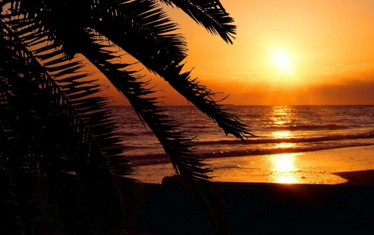 1280x804 Sunset Palm Beach Florida wallpaper. Sunset Palm Beach