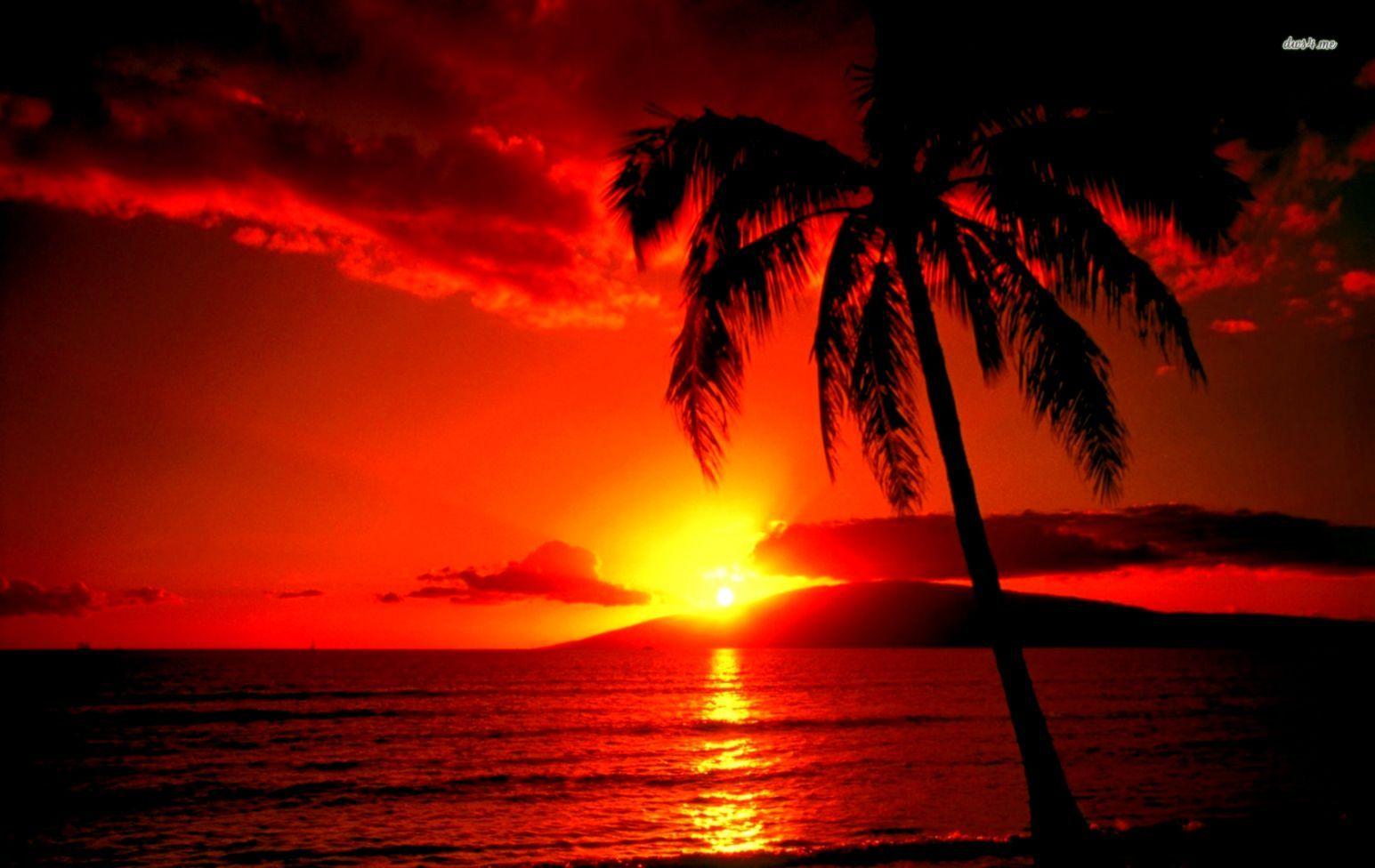 1545x976 Hawaii Sunset Wallpaper
