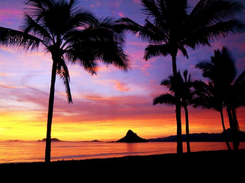 1024x768 Hawaiian Sunset Wallpaper
