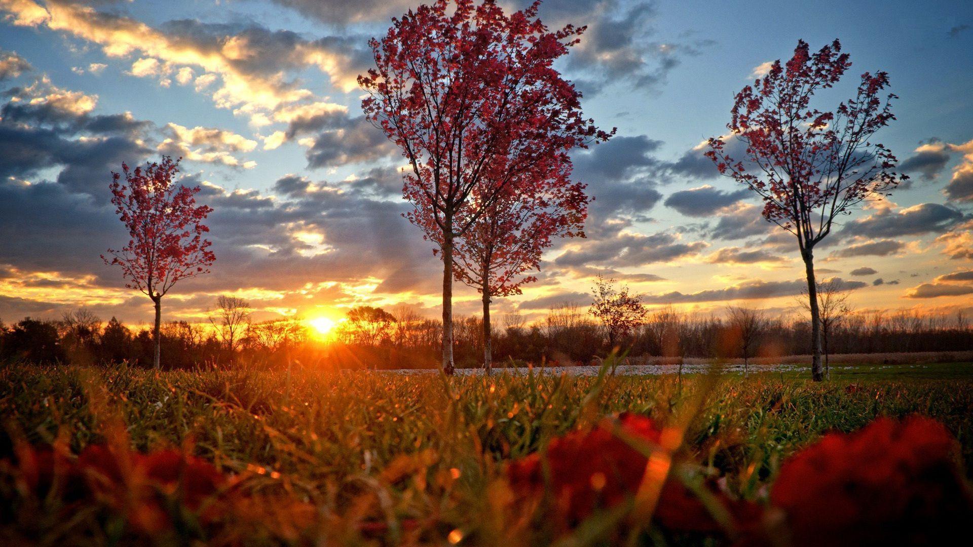 Autumn Sunset Wallpapers Top Free Autumn Sunset Backgrounds