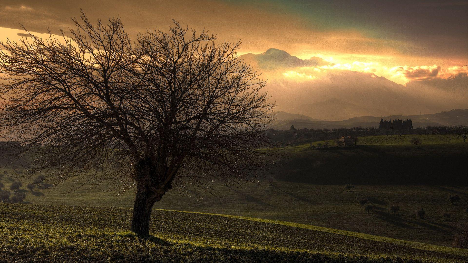 1920x1080 Autumn Sunset desktop PC and Mac wallpaper