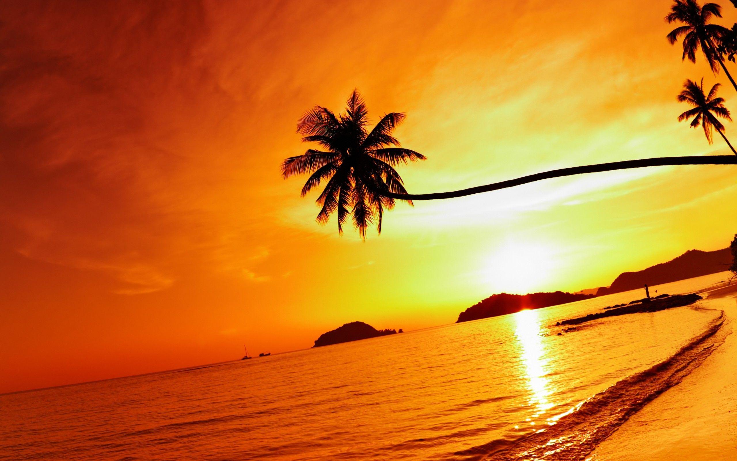 2560x1600 Tropical Beach Resorts Sunset wallpaper