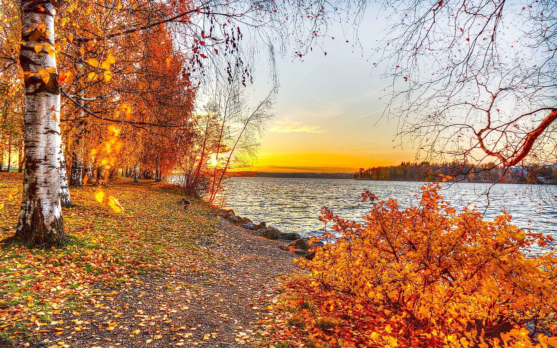 Autumn Sunset Wallpapers Top Free Autumn Sunset Backgrounds 