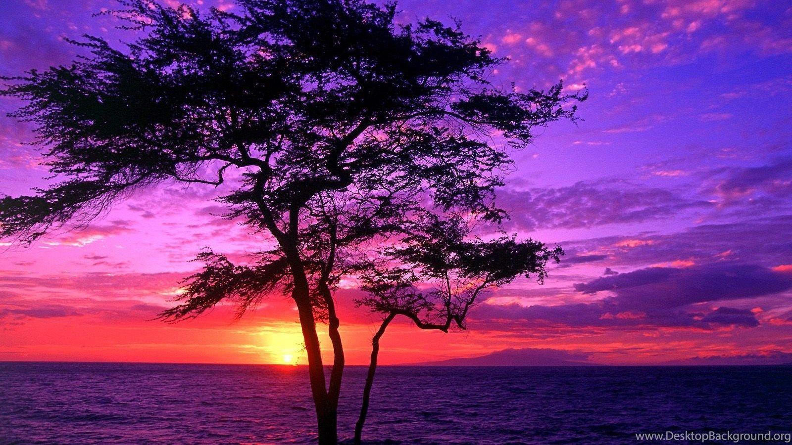 1600x900 Hawaii Beach Sunset Wallpaper Desktop Background