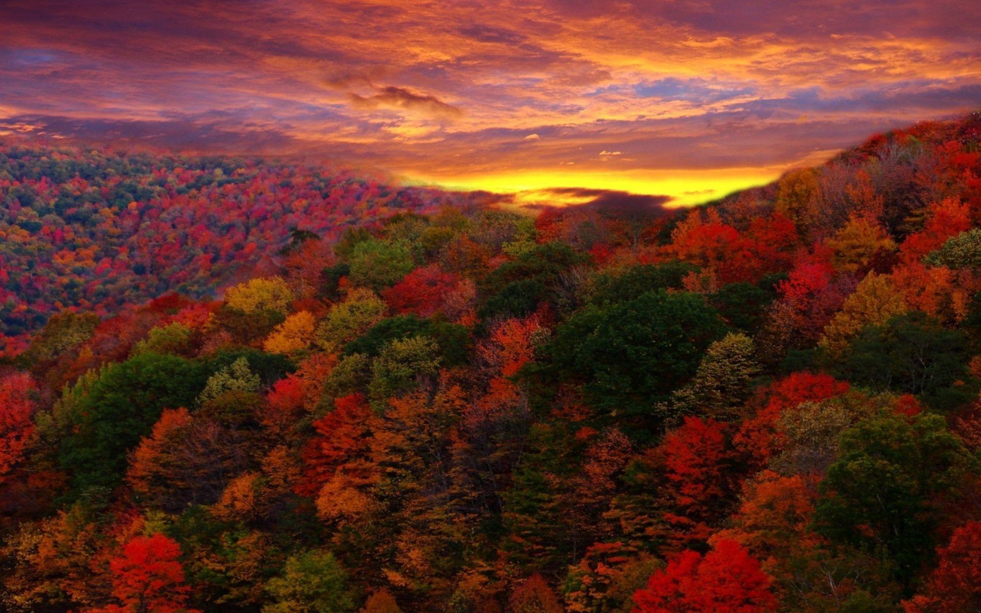 Autumn Sunset Wallpapers Top Free Autumn Sunset Backgrounds 