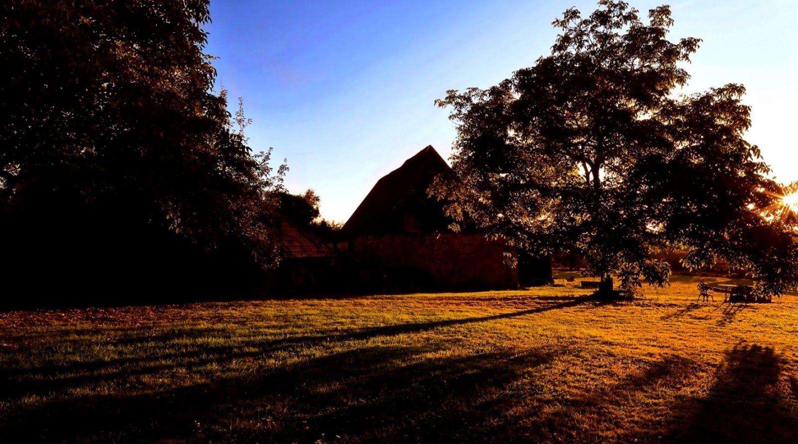 1600x890 Autumn Sunset HD Wallpaper Free Download