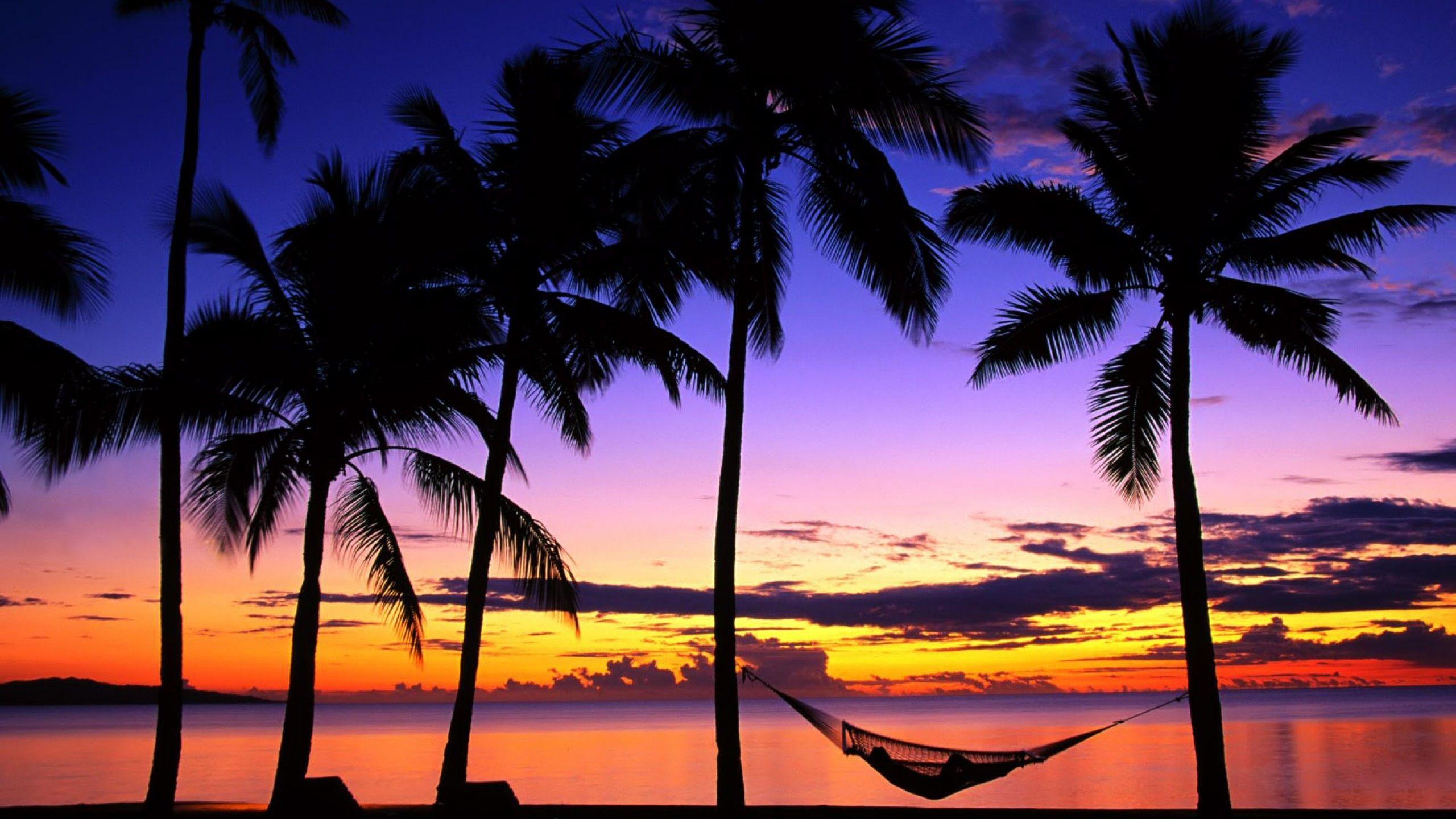 2560x1440 Sunset Wallpaper