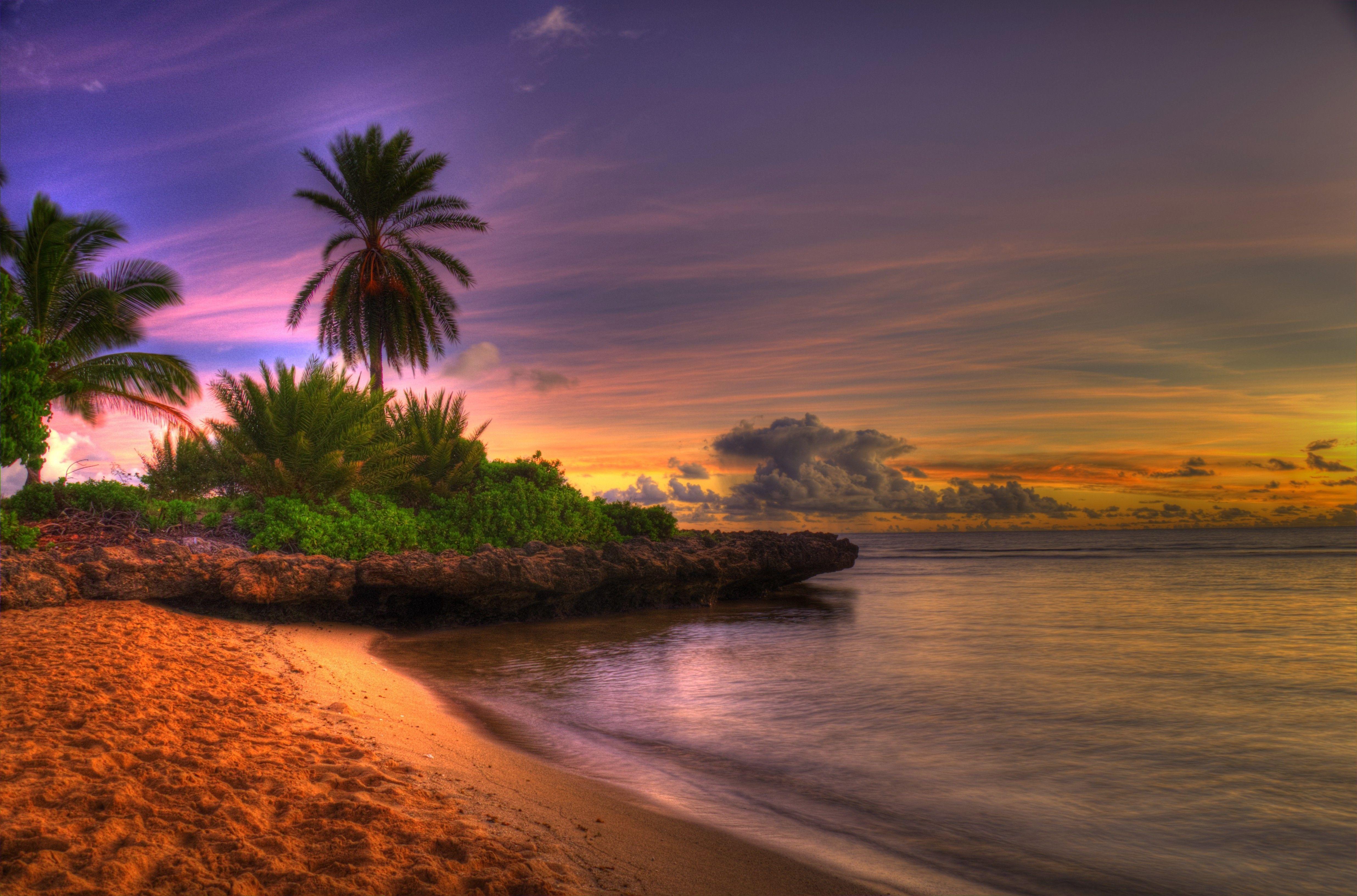 4944x3265 Tropical Beach Wallpaper HD Nyl