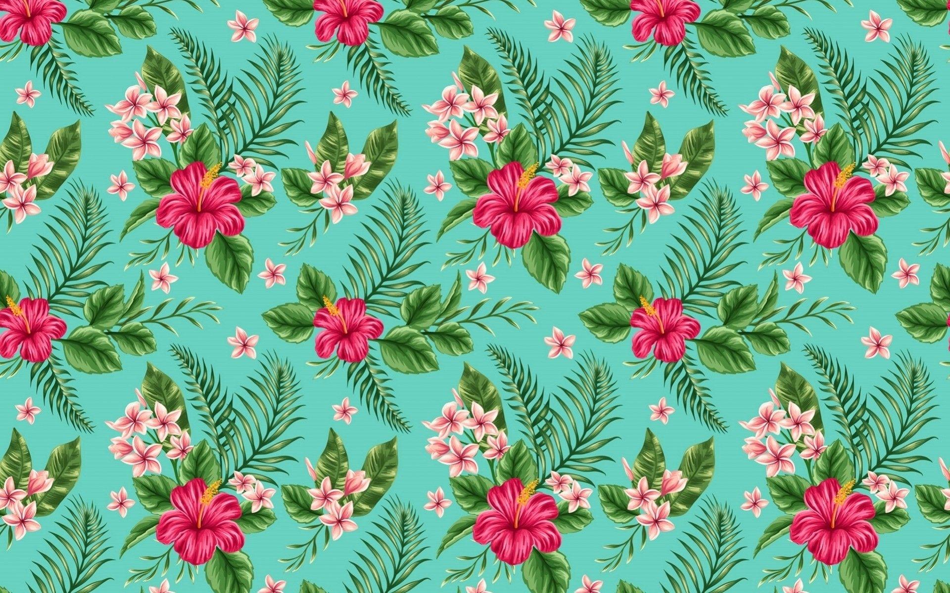 1920x1200 Hibiscus hình nền