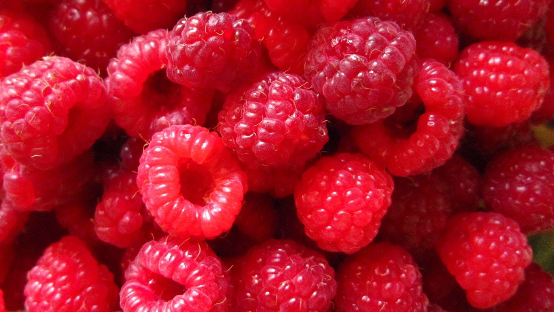 Raspberry Wallpapers - Top Free Raspberry Backgrounds - WallpaperAccess