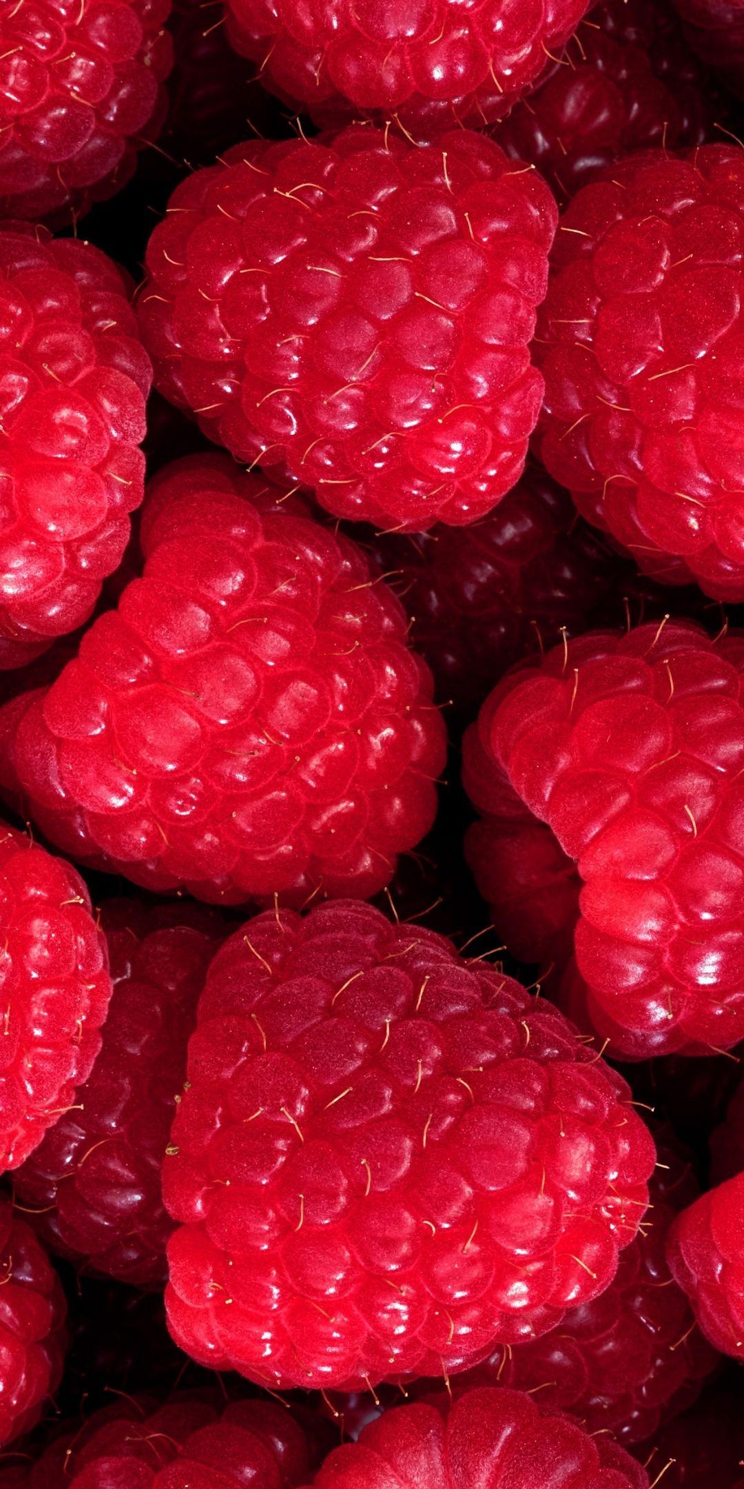 Wallpaper ID 326255  Food Berry Phone Wallpaper Raspberry Strawberry  Fruit Blackberry Blueberry 1440x2560 free download