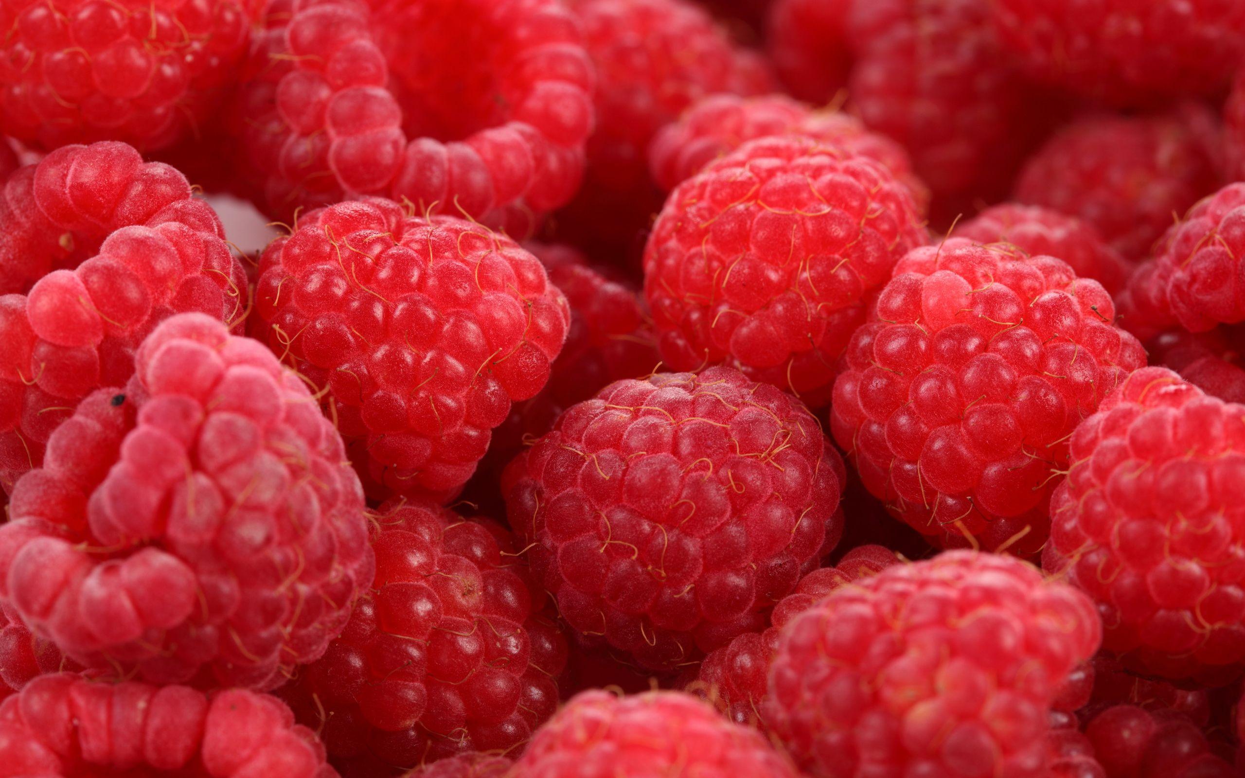 Raspberry Wallpapers - Top Free Raspberry Backgrounds - WallpaperAccess