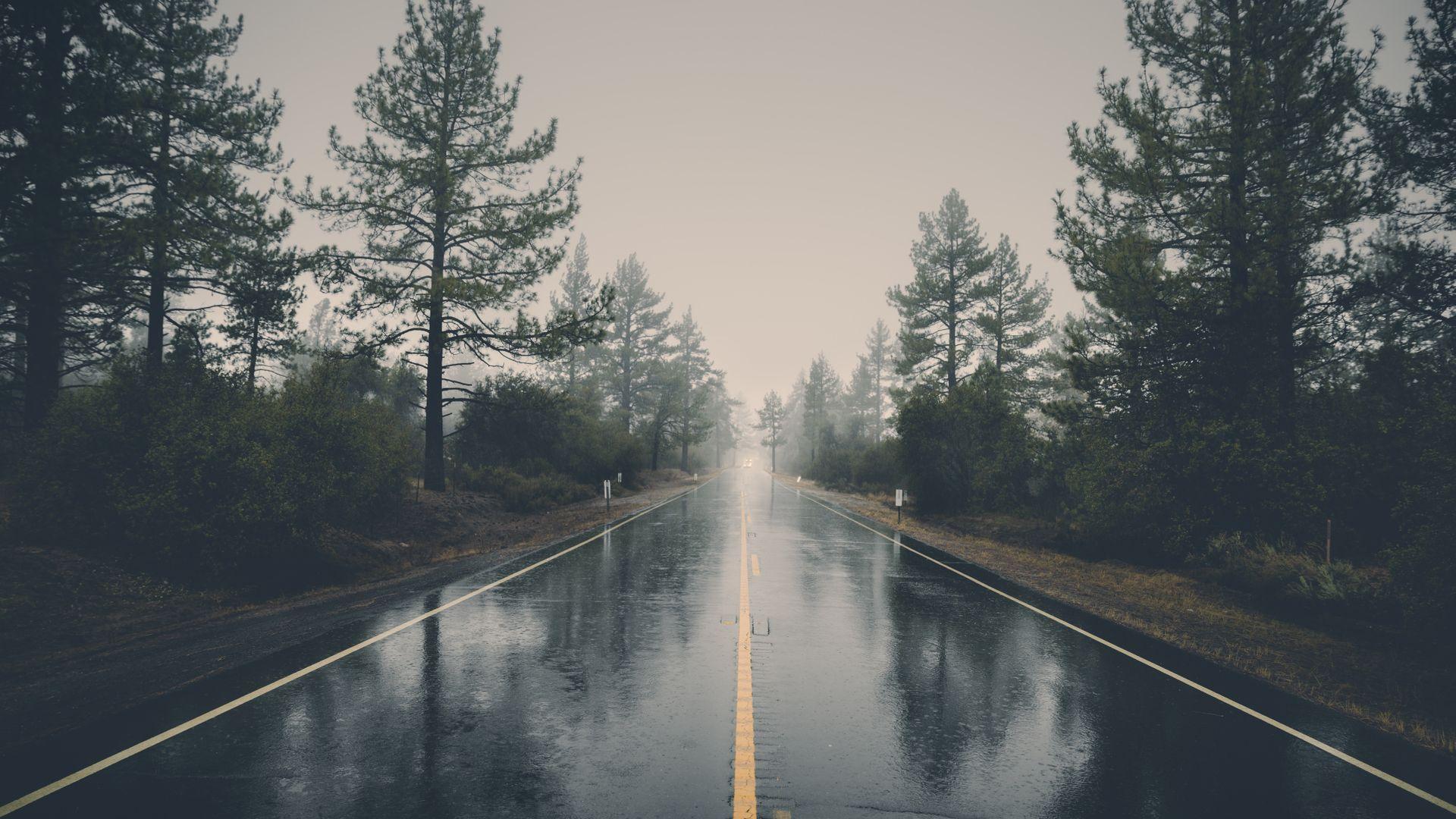 1920x1080 Road during Rain Between Pine Trees Wallpaper