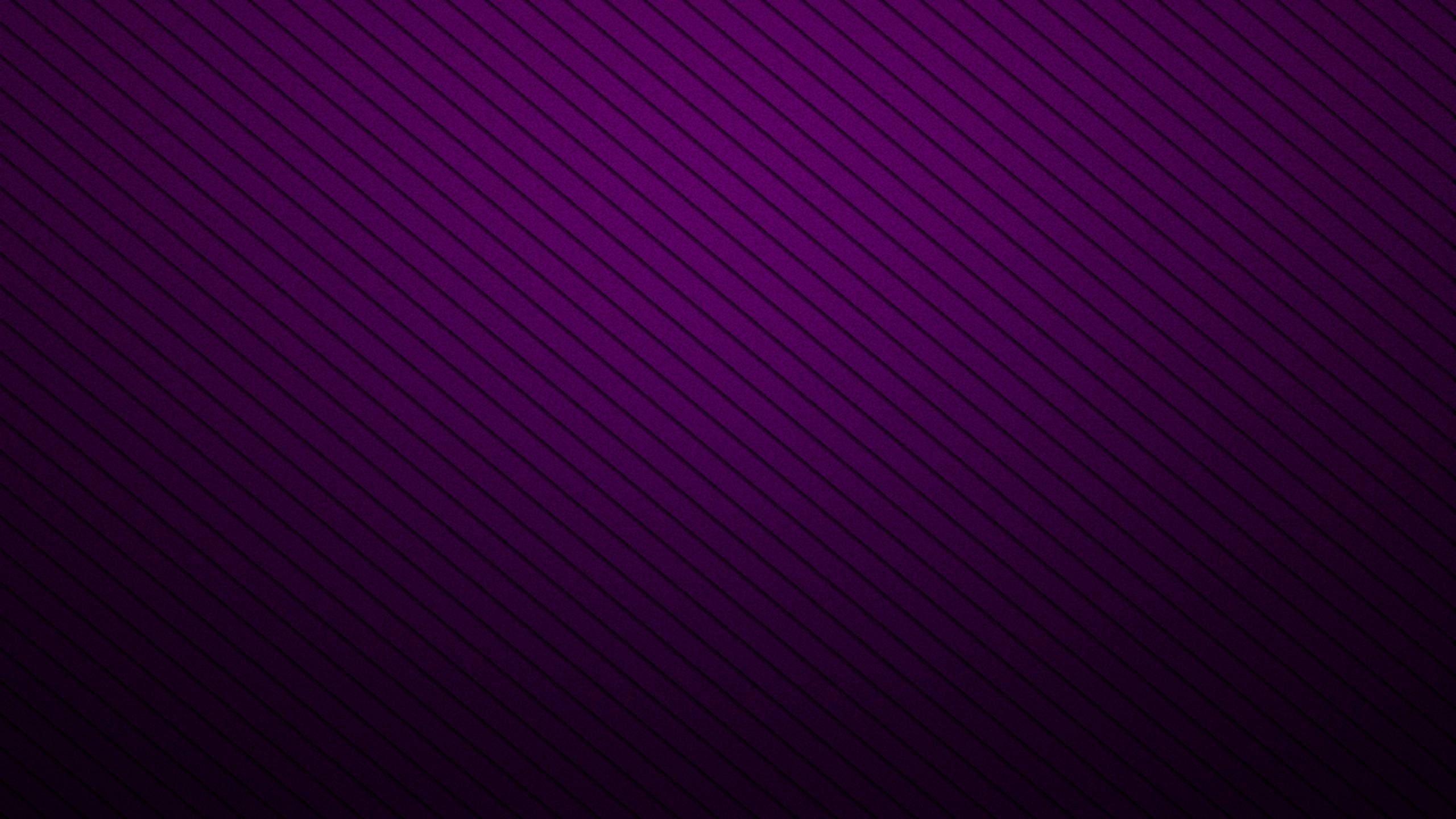 2560x1440 Black Purple Background