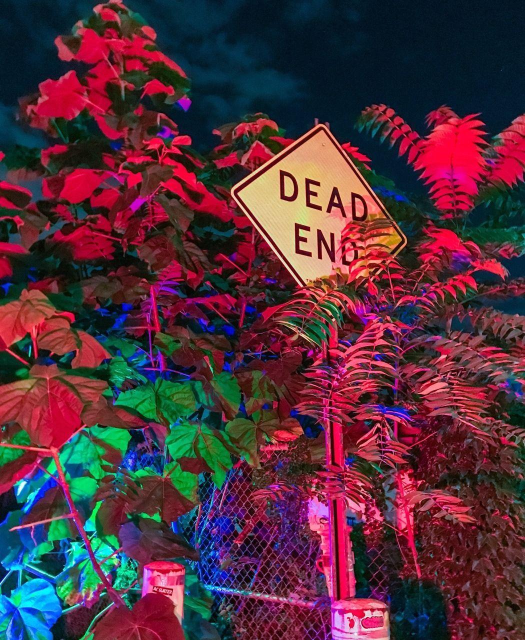 1050x1280 Sleazeburger in Paradise. Dusk Days. Neon aesthetic