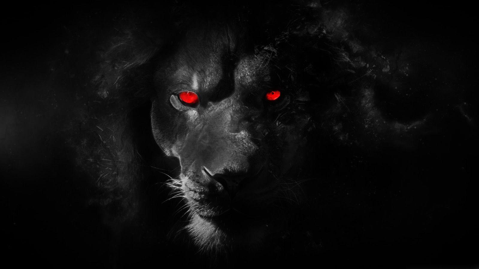 Red Lion Wallpaper