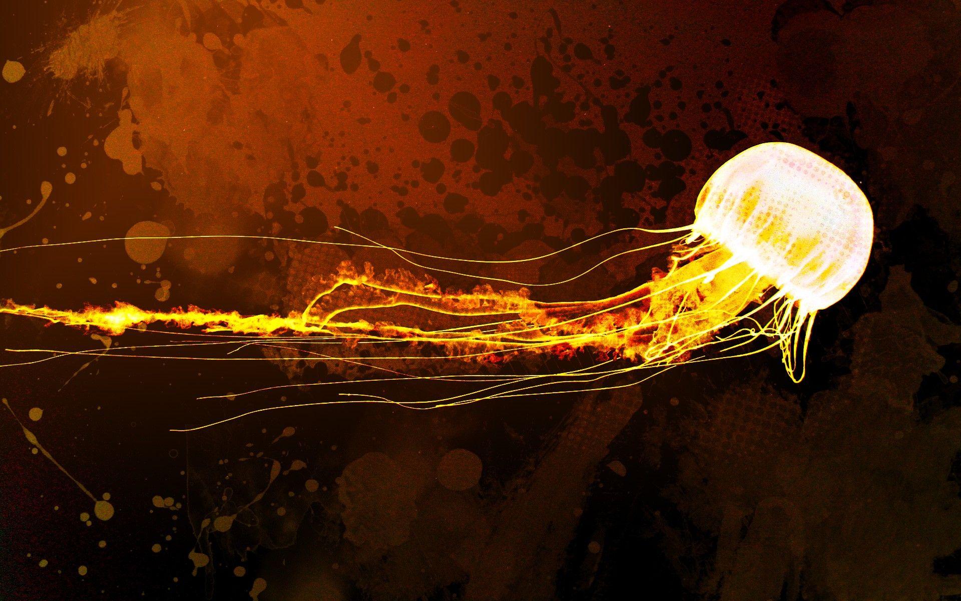 1920x1200 abstract, orange, grunge, jellyfish wallpaper