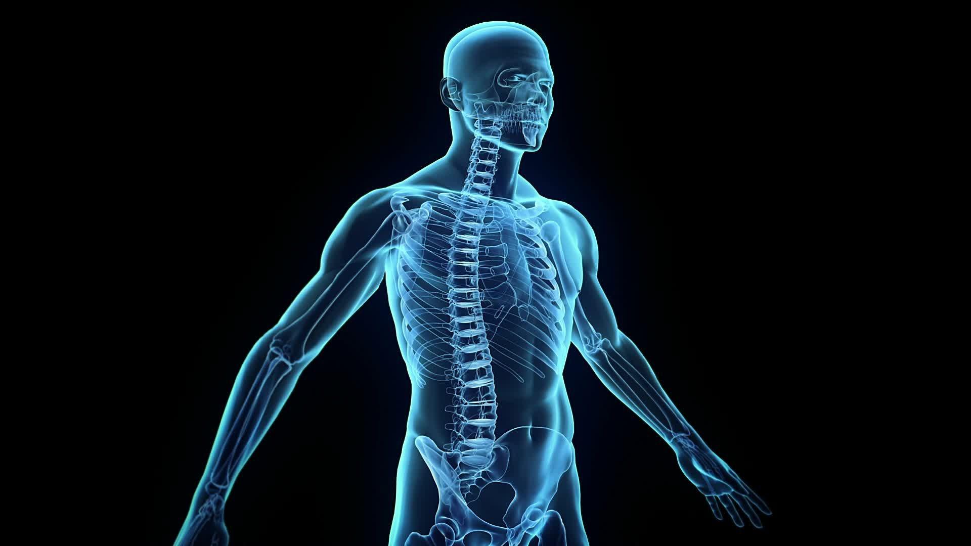 1920x1080 Human Body Wallpaper