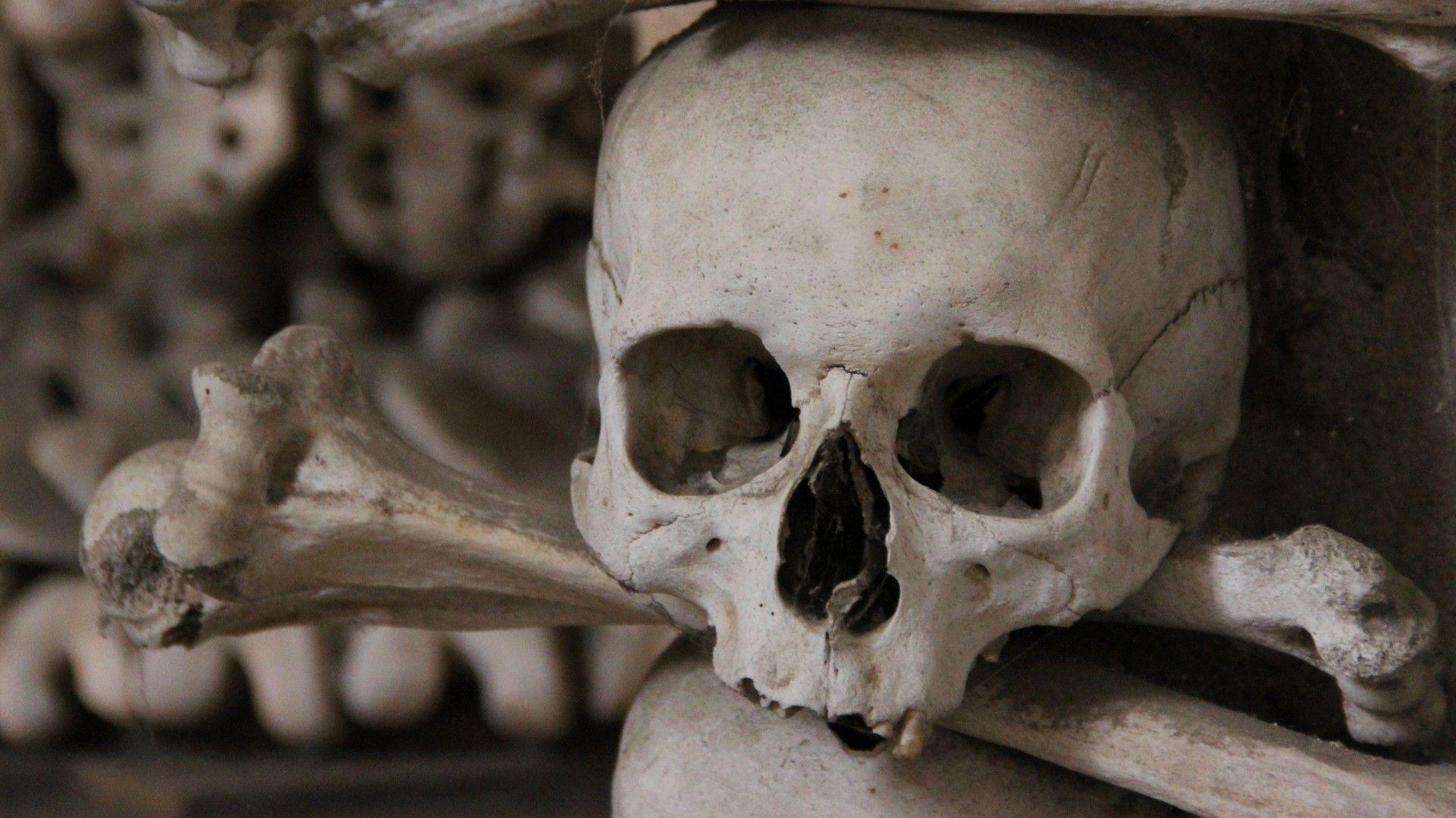 1920x1080 skulls, dark, bones, human body wallpaper