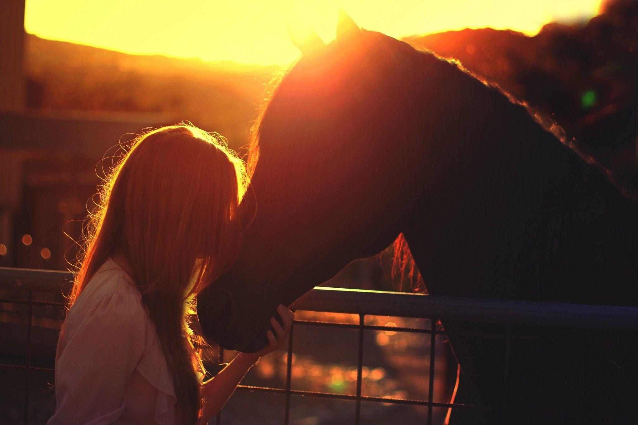 2048x1365 women, Model, Golden Hour, Horse, Fence, Silhouette, Women
