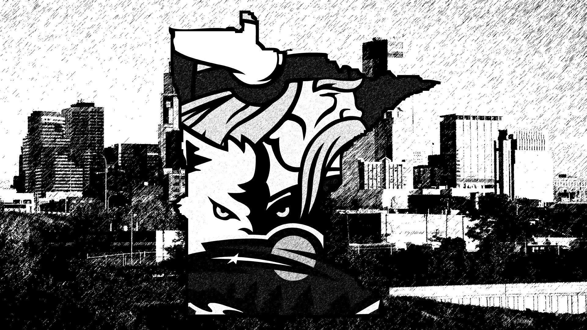 1920x1080 Minnesota wallpaper