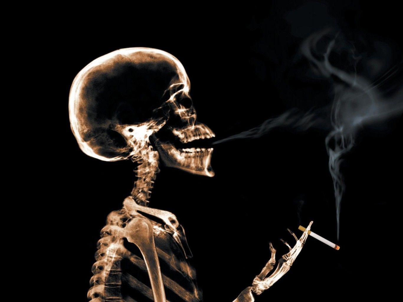 1366x1024 Download Dark Skeleton Wallpaper