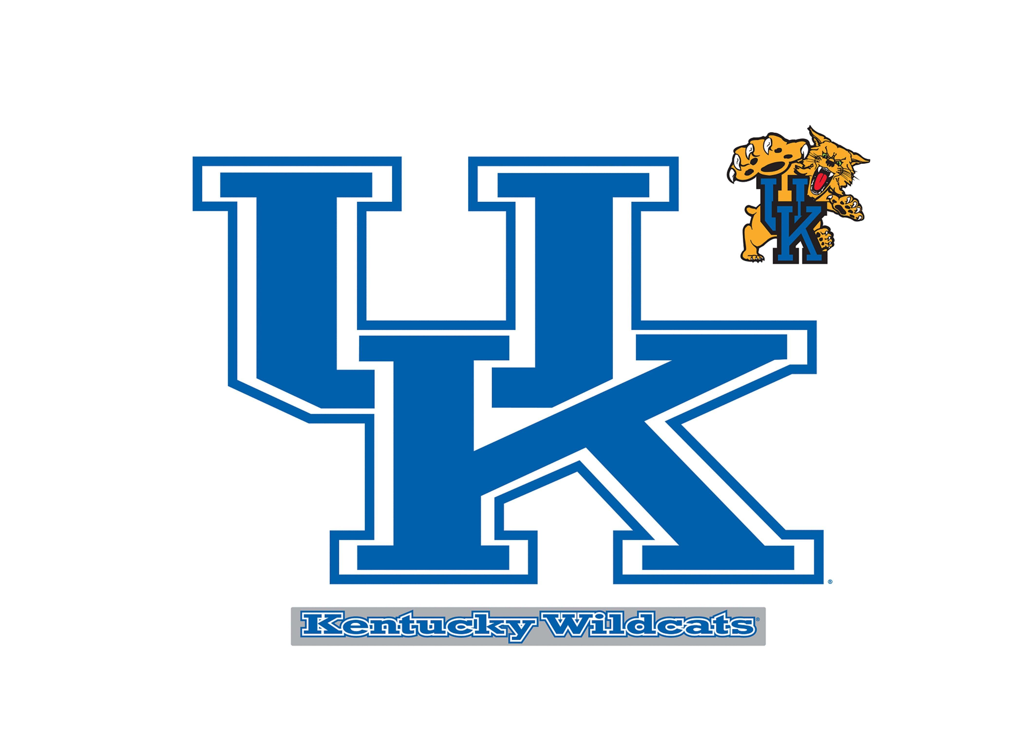 4225x3000 4k Uk Wildcat Background