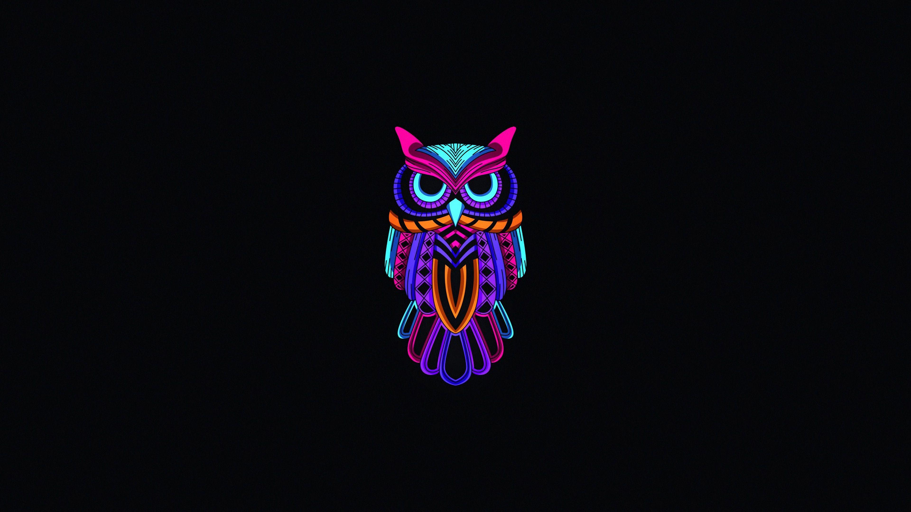 3840x2160 Owl Minimal Dark 4k 1366x768 Resolution HD 4k