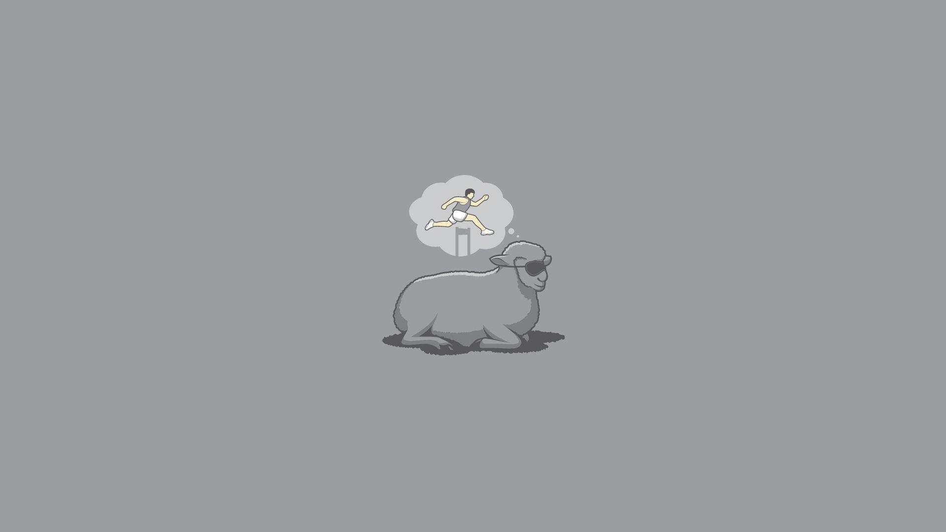 1920x1080 funny wallpaper