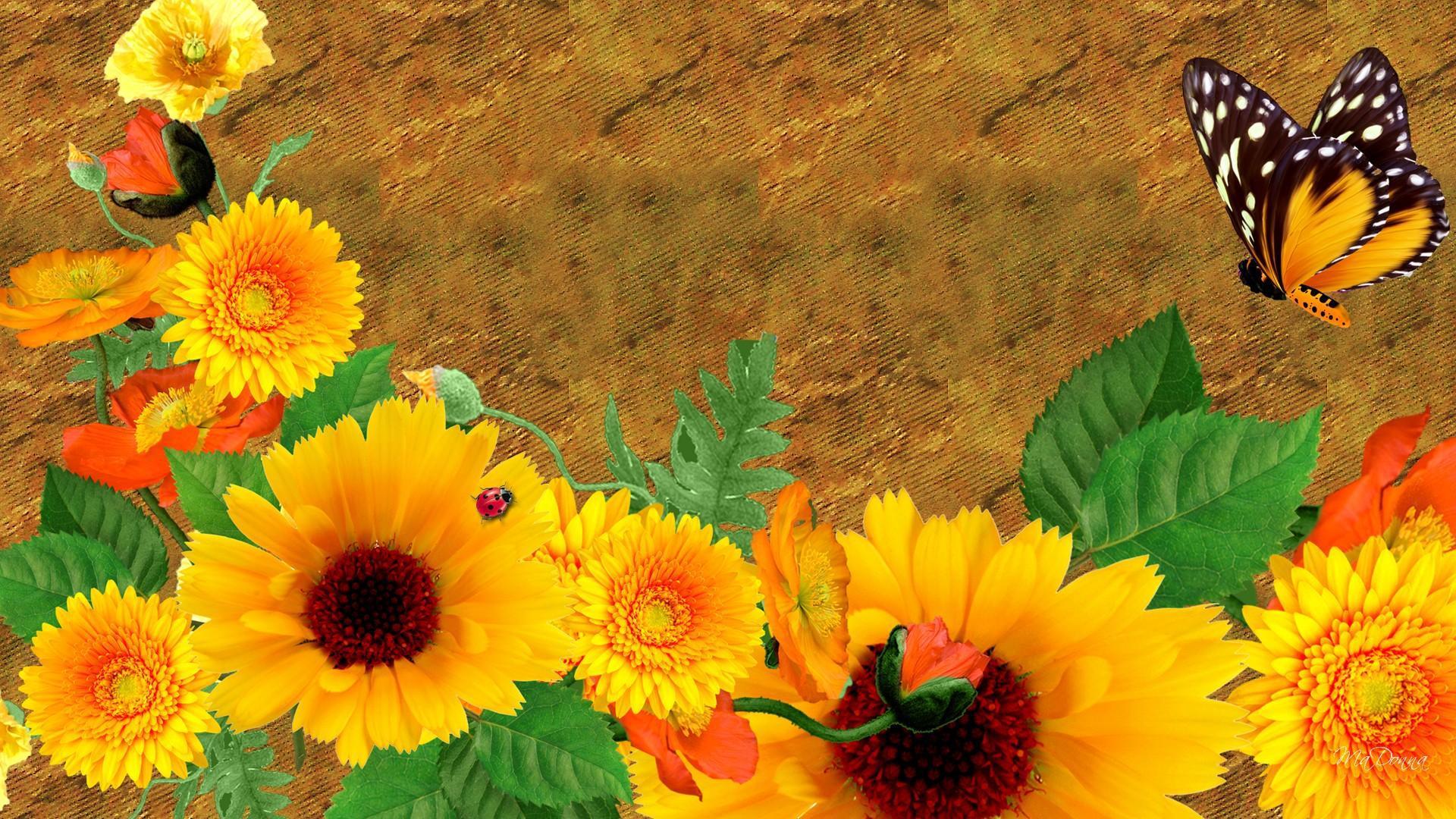 Hình nền máy tính HD 1920x1080 Fall Floral Grunge: Màn hình rộng: Cao