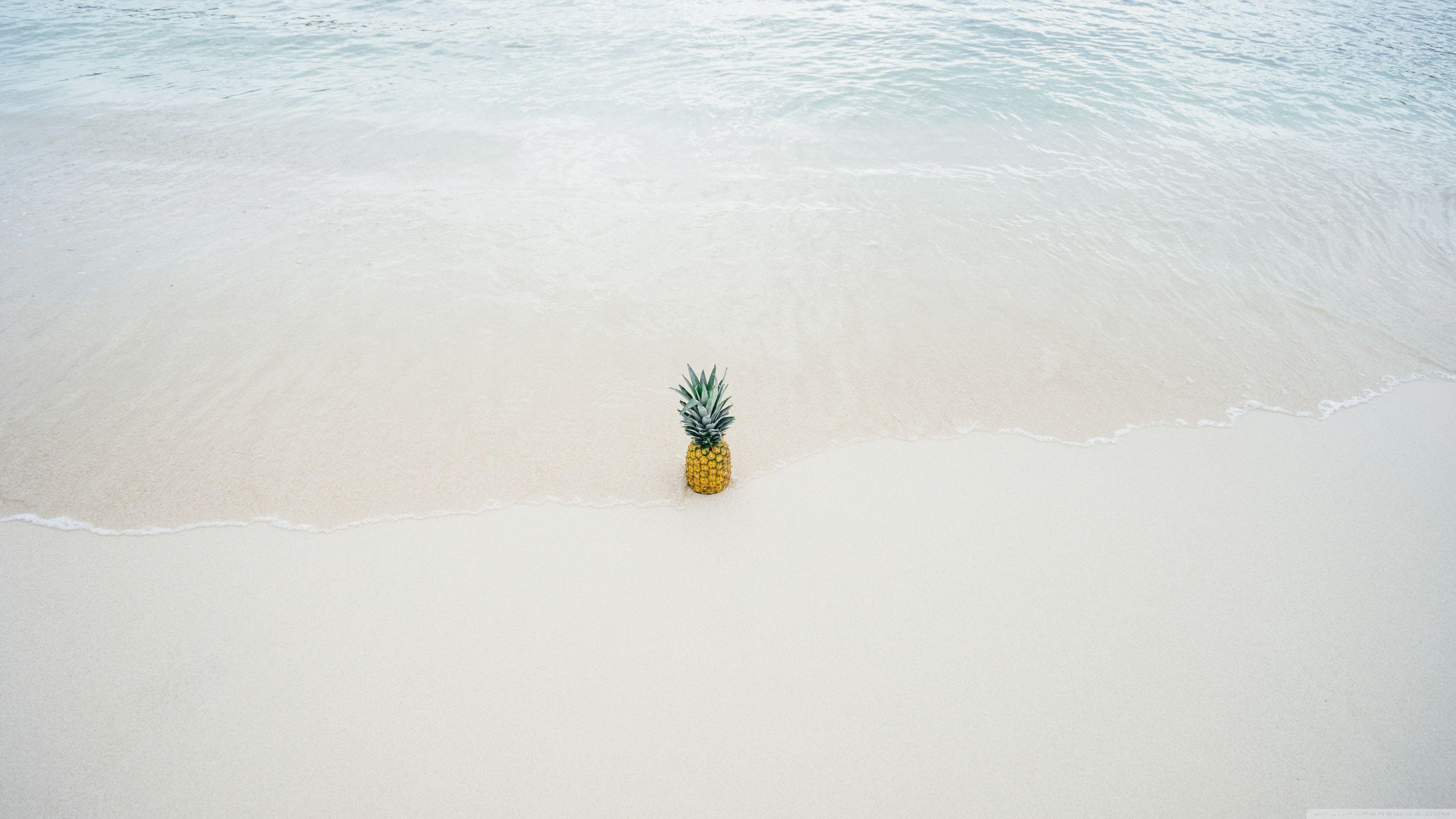 3840x2160 Pineapple Summer ❤ 4K HD Desktop Wallpaper for 4K Ultra HD TV