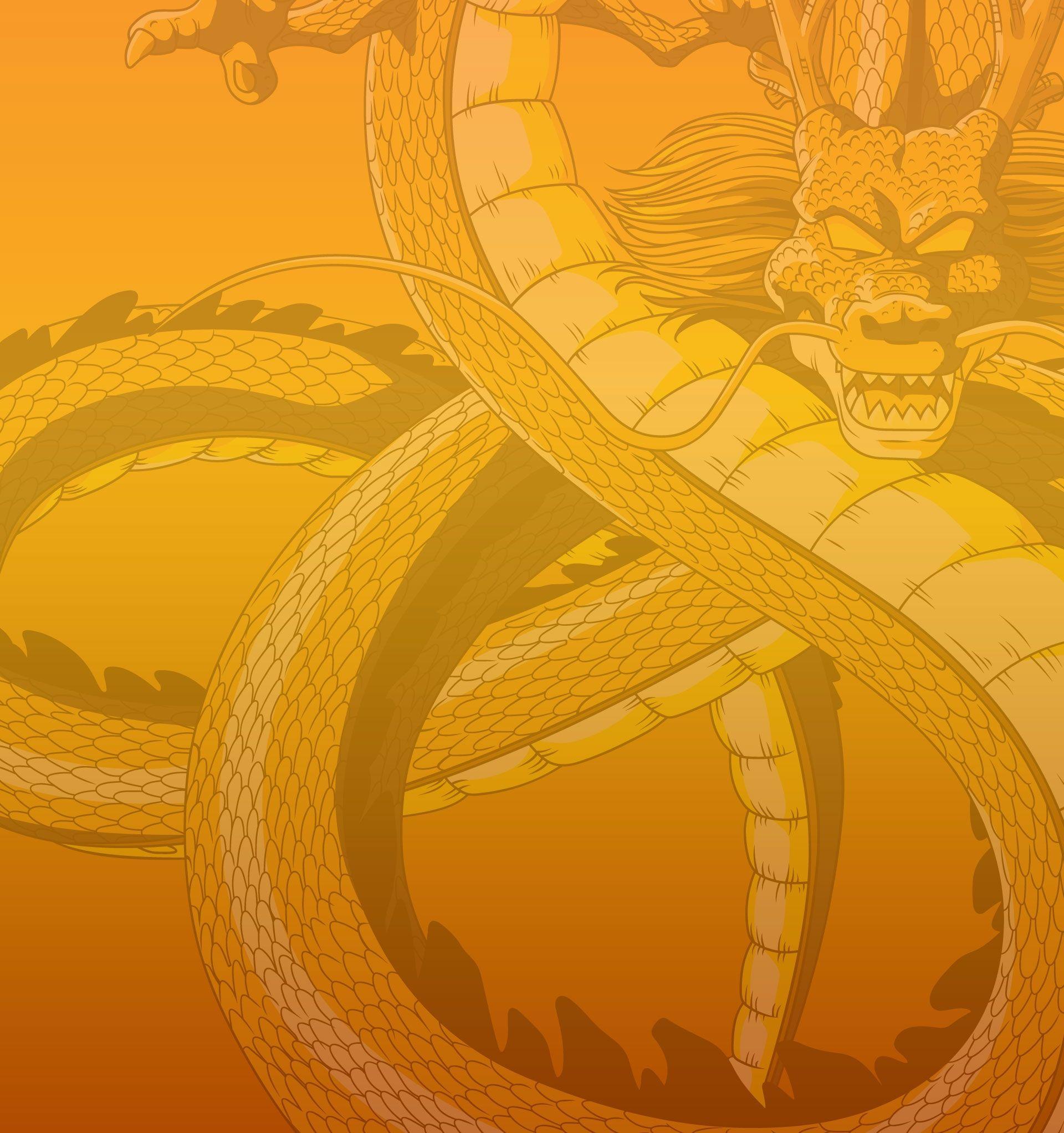 1920x2044 Dragon, Dragons, Shenron, Wallpaper, Wallpaper, Dragon
