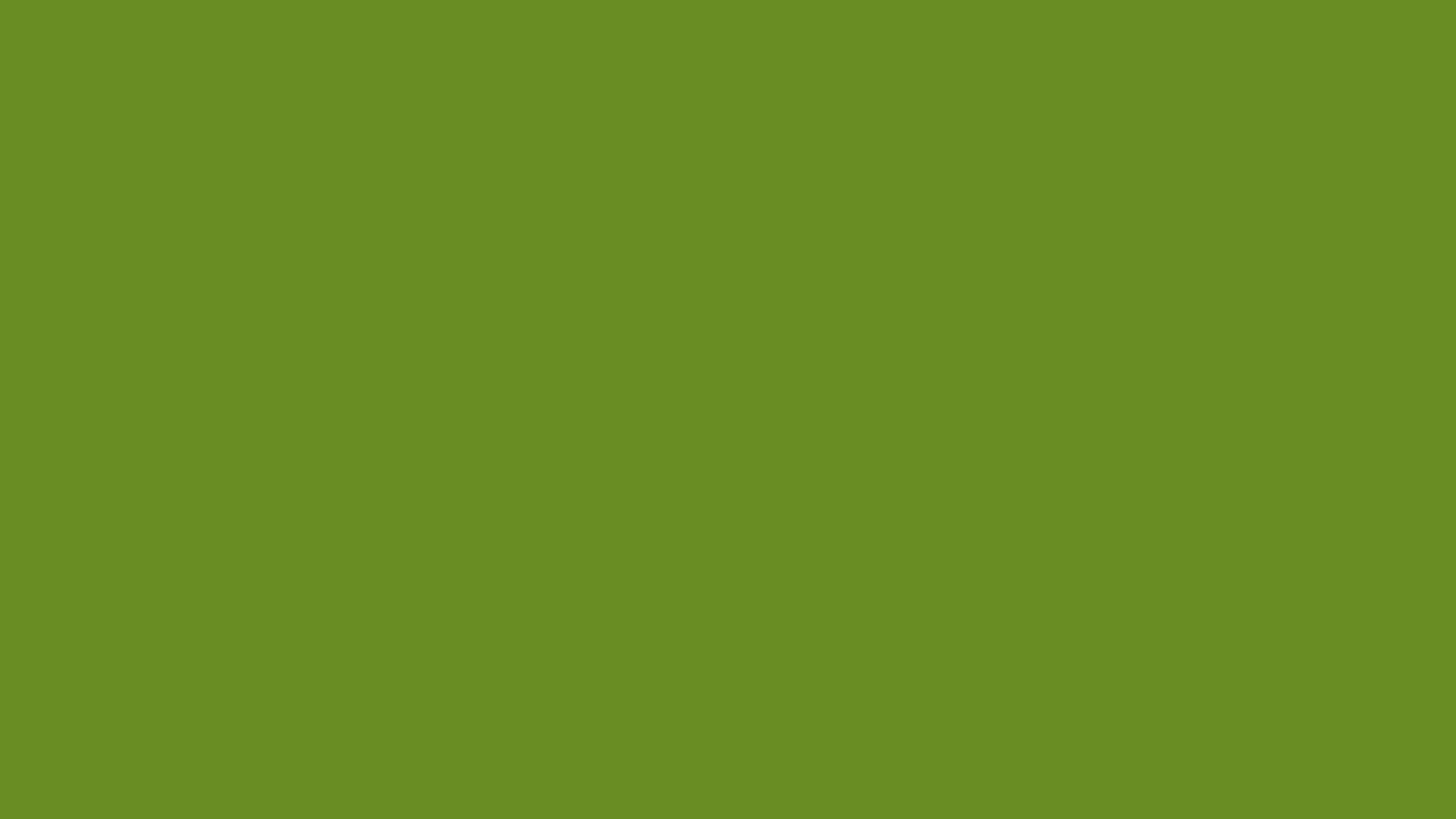 3840x2160 Olive Green Wallpaper