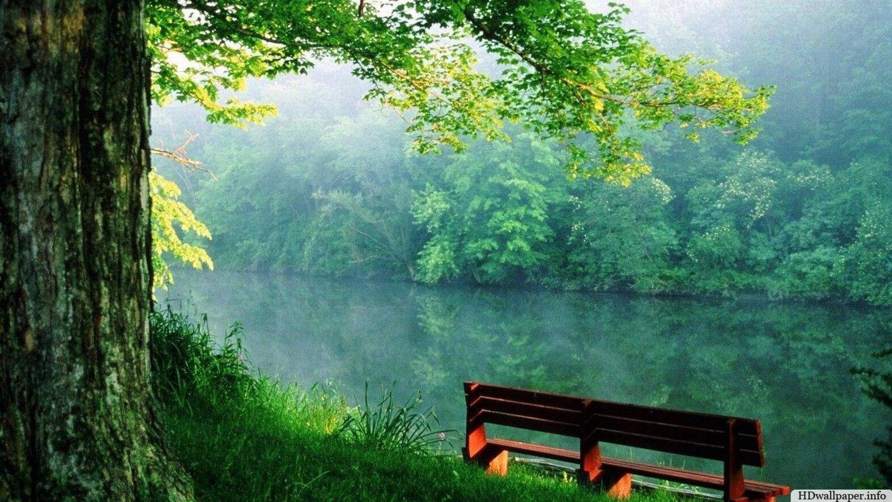 3840x2160 HD Wallpaper