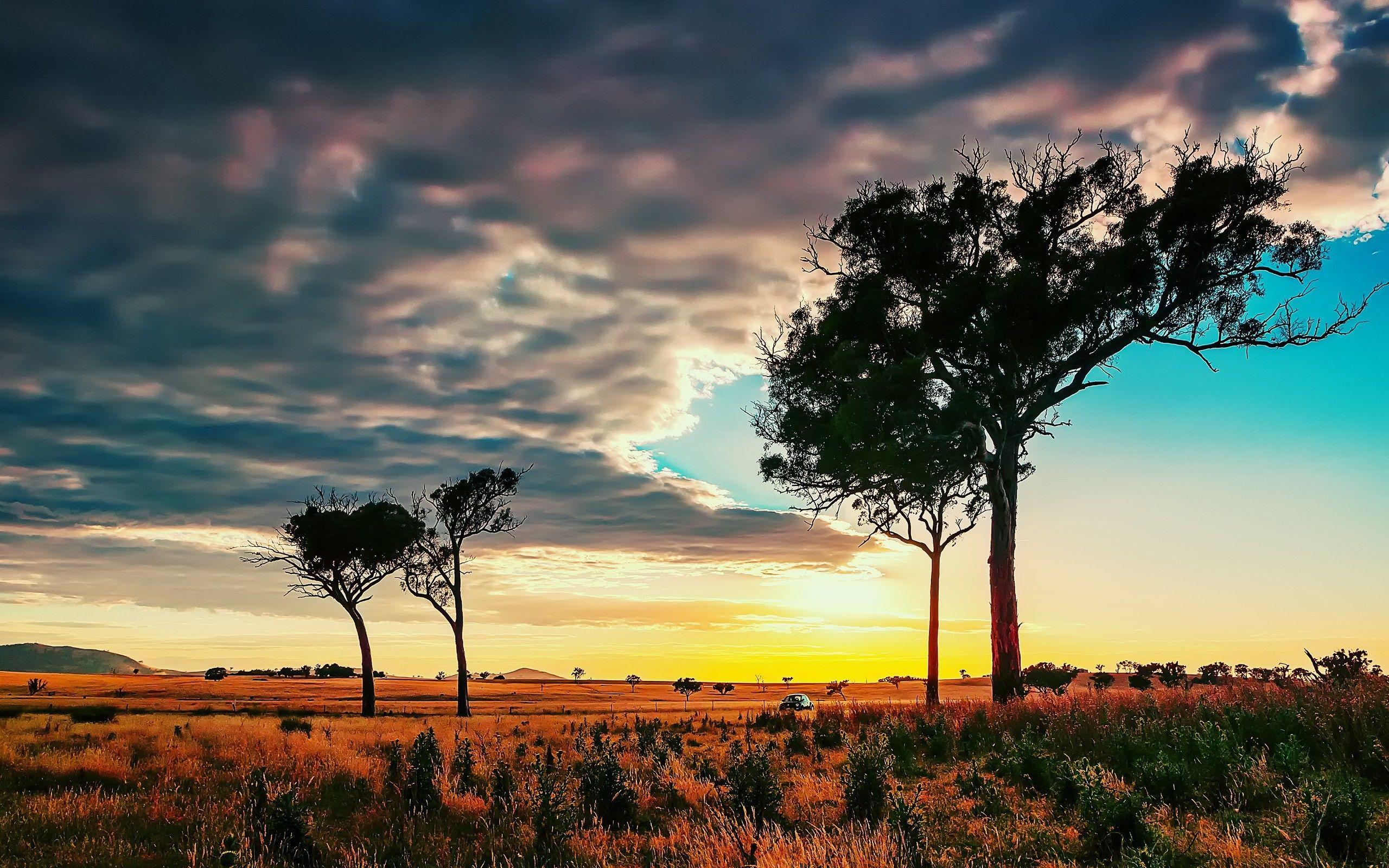 2560x1600 African Wallpaper