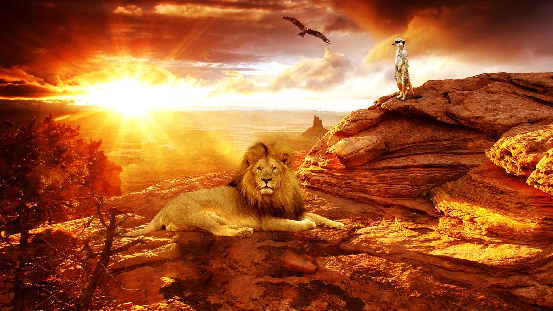 1920x1080 Africa Wallpaper