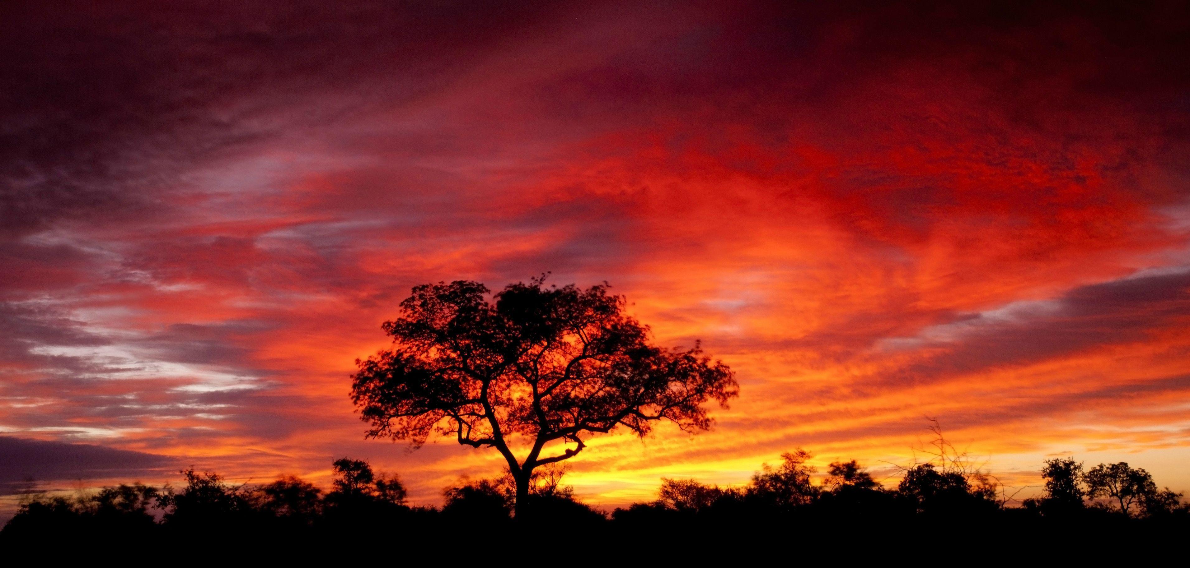 3824x1827 African Sunset Wallpaper