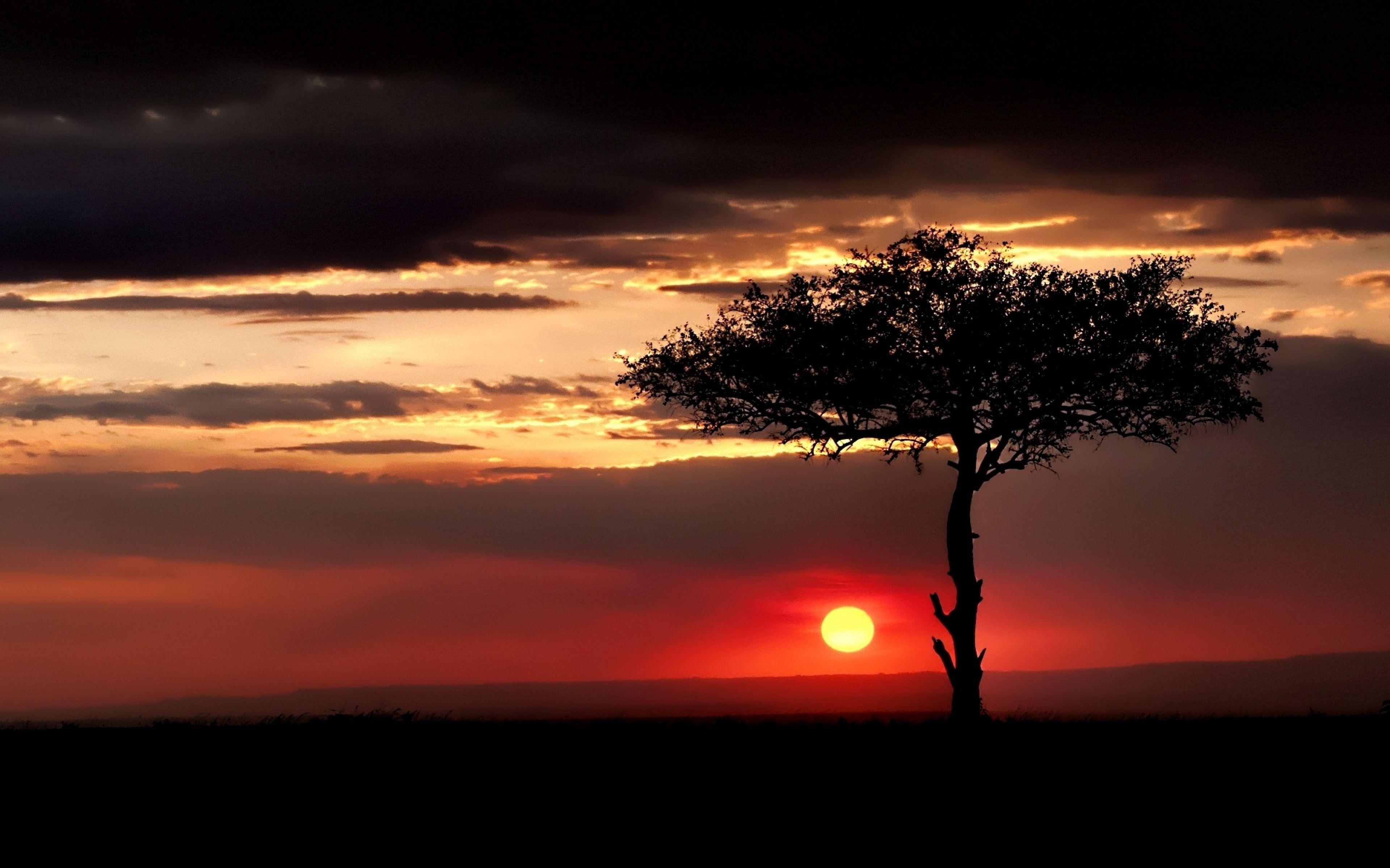 3840x2400 Hd Africa Wallpaper