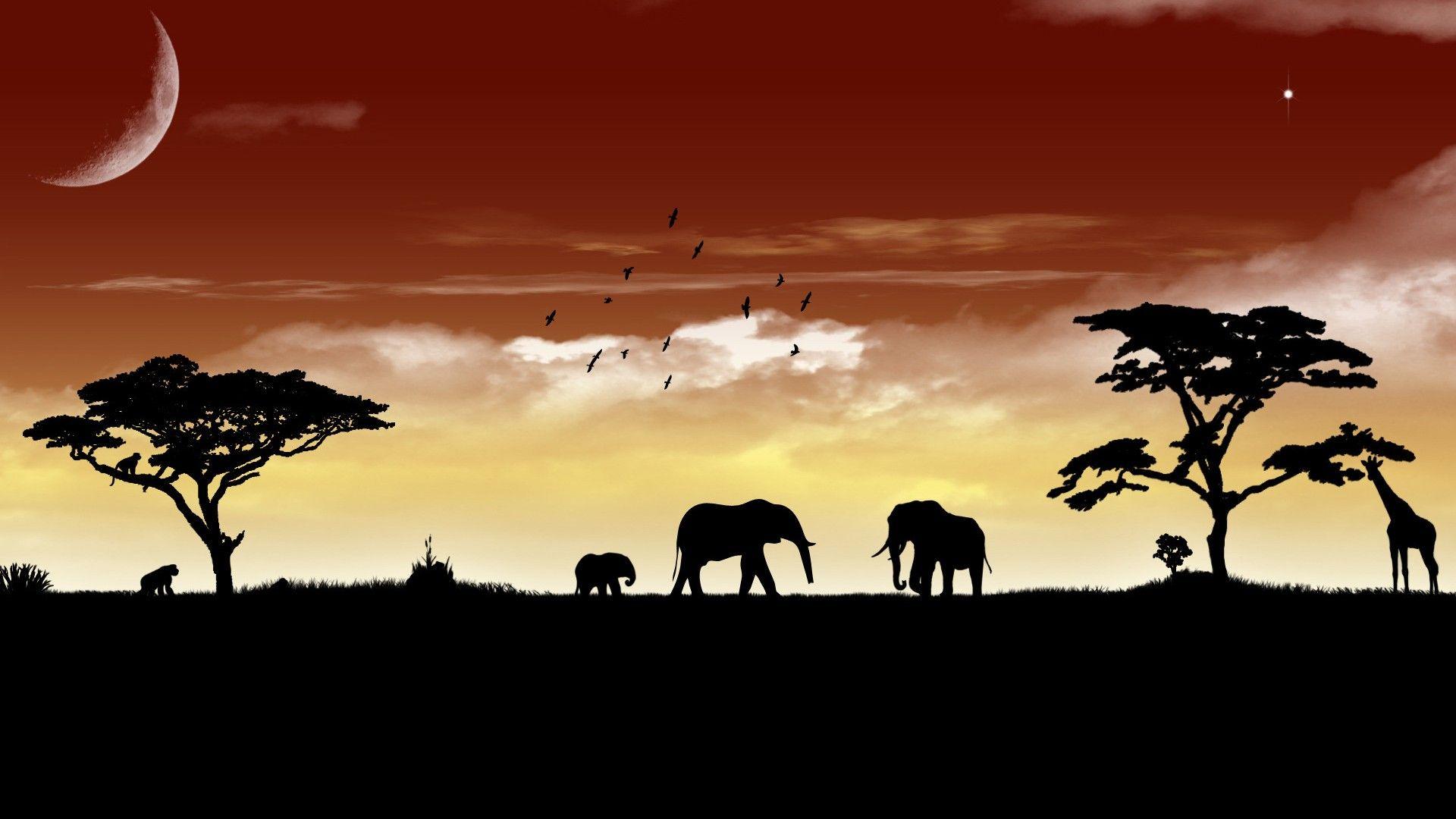 1920x1080 Africa Silhouette Wallpaper