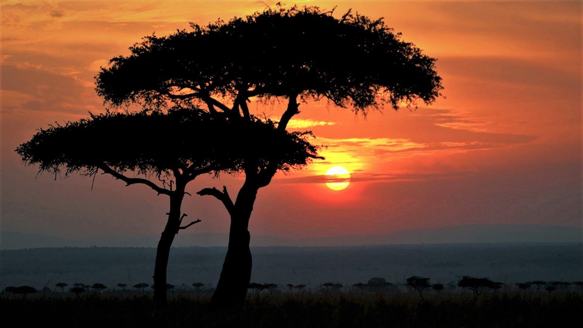 African Sunrise Wallpapers - Top Free African Sunrise Backgrounds