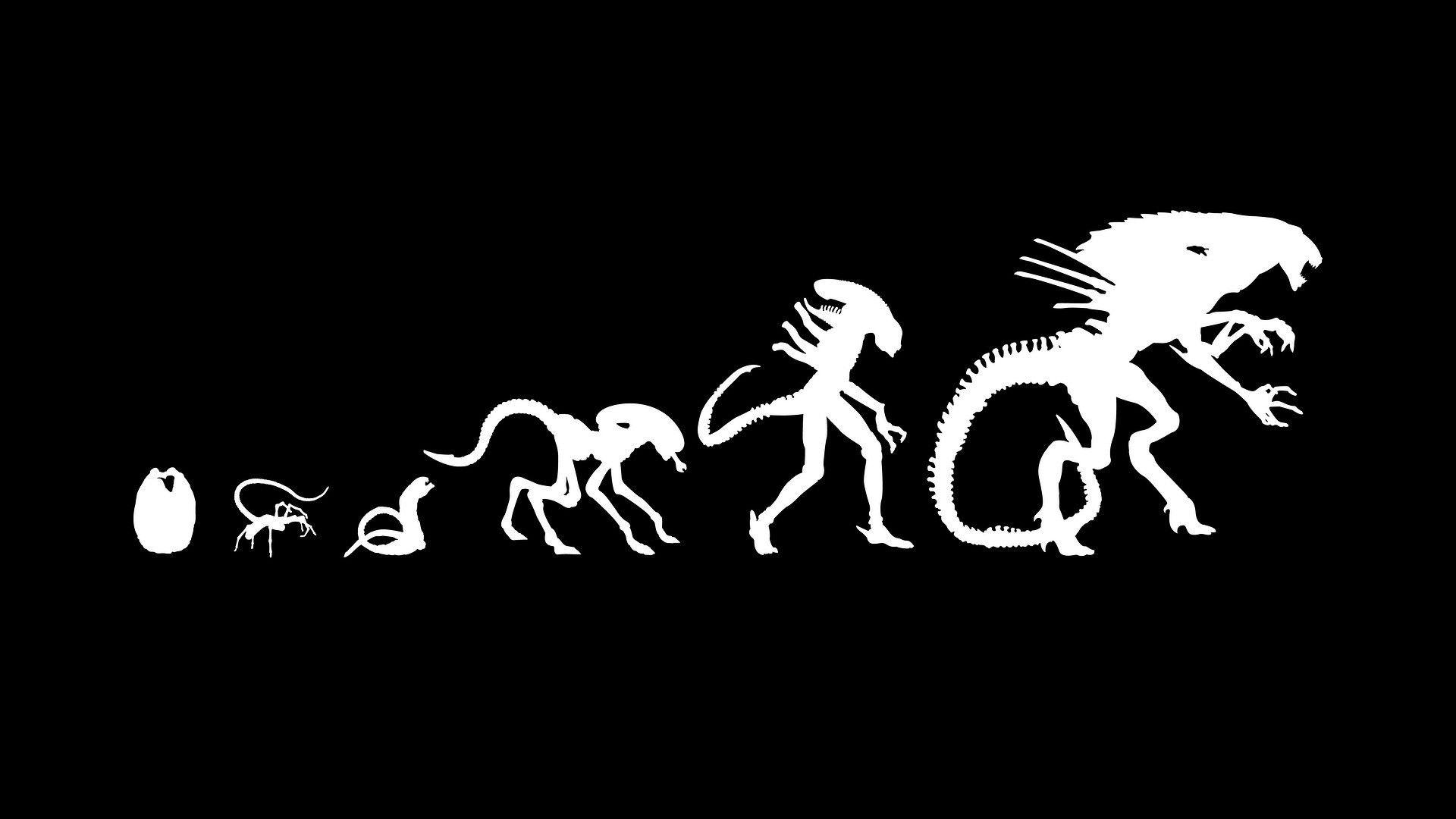 1920x1080 evolution wallpaper Collection