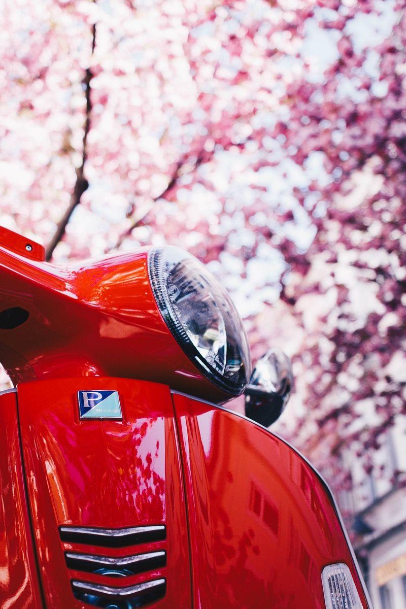800x1200 Download wallpaper 800x1200 vespa, scooter, red, sakura