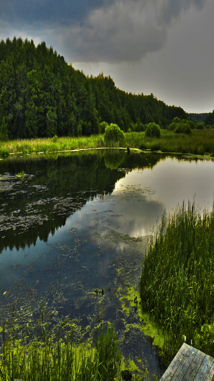720x1280 Download Amazing Nature Wallpaper 58 Best Amazing Nature