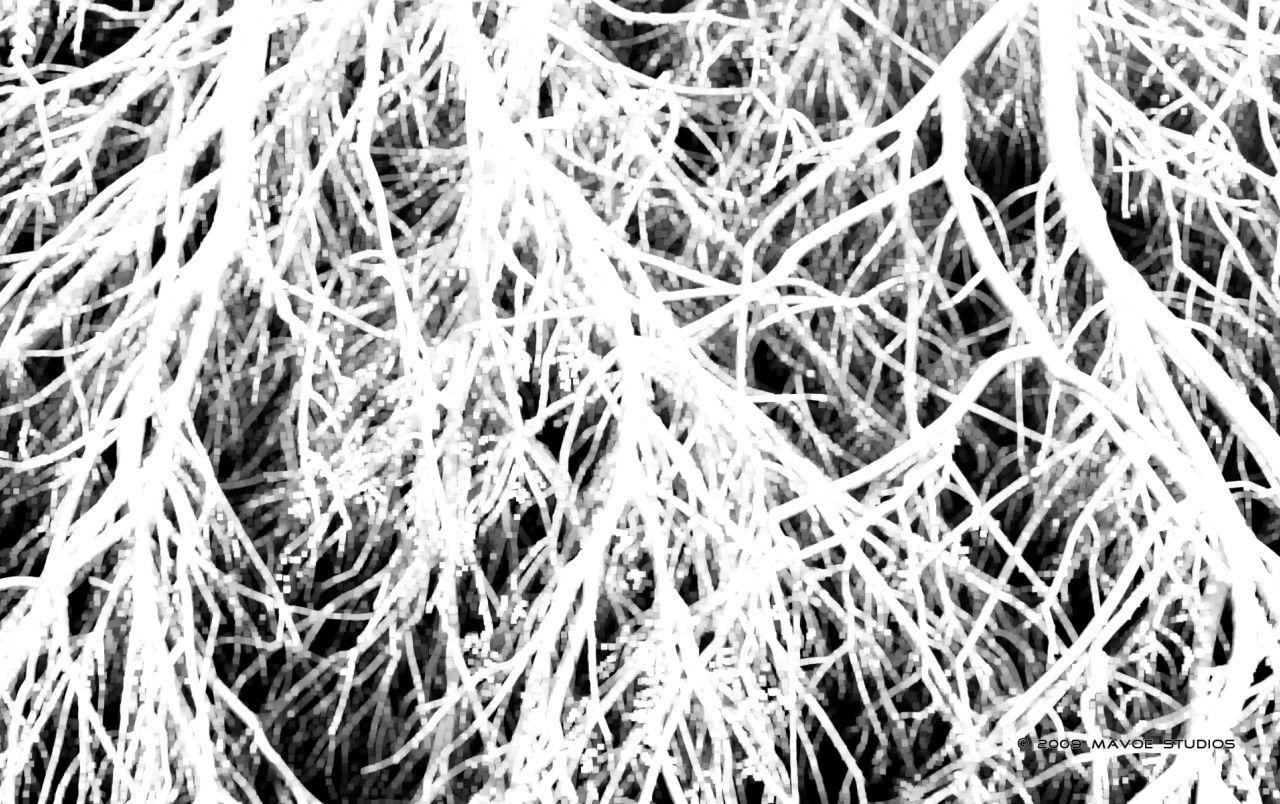 1280x804 Digital Winter Wallpaper. Digital Winter