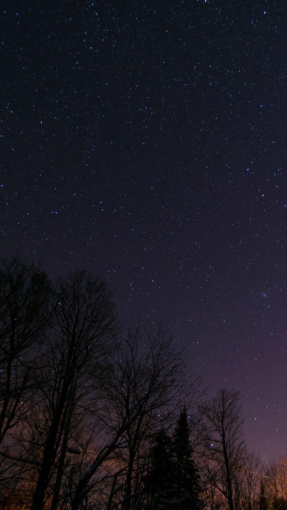 938x1668 Download wallpaper 938x1668 starry sky, trees, night, stars