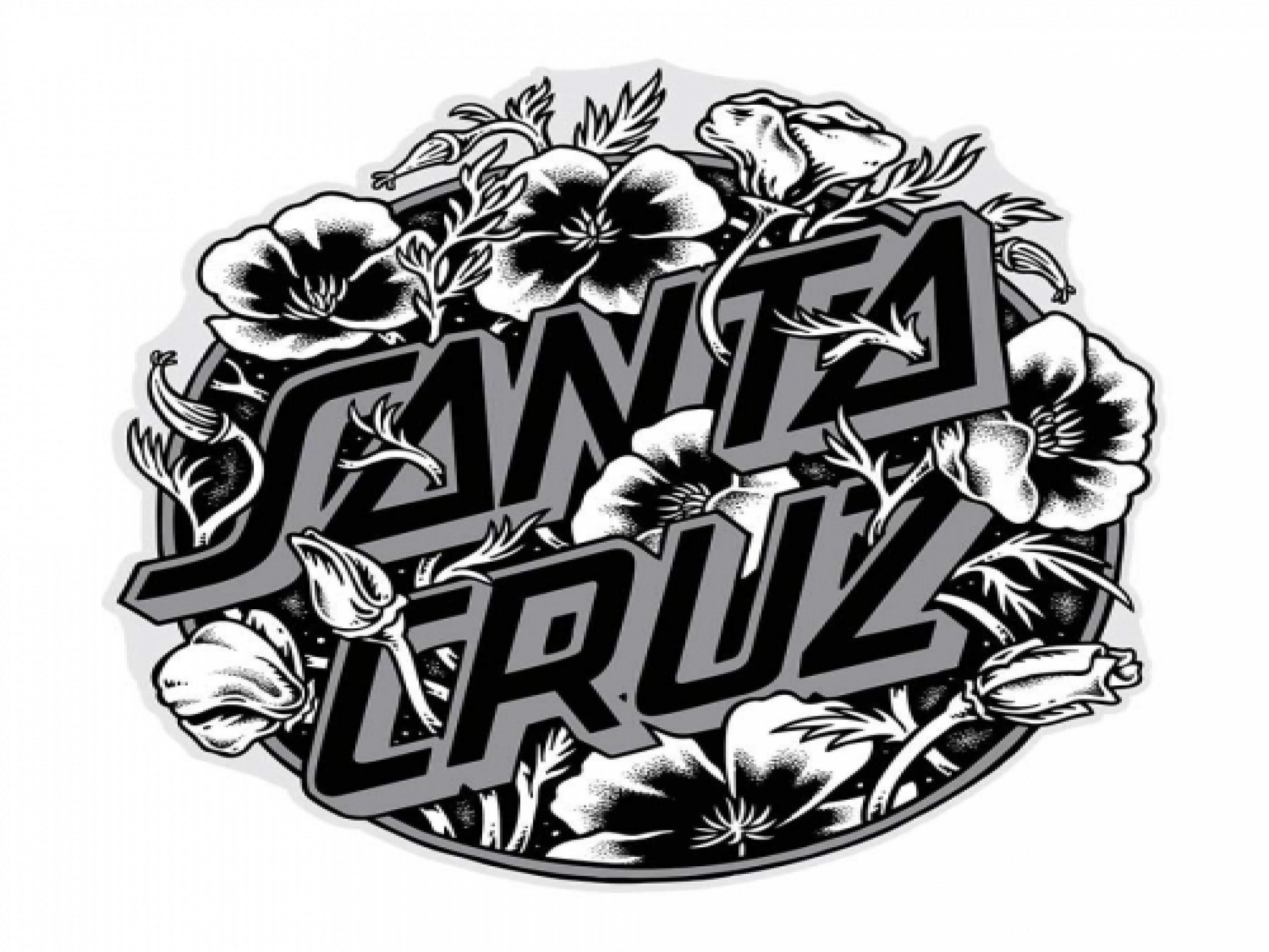 Santa Cruz iPhone Wallpapers on WallpaperDog
