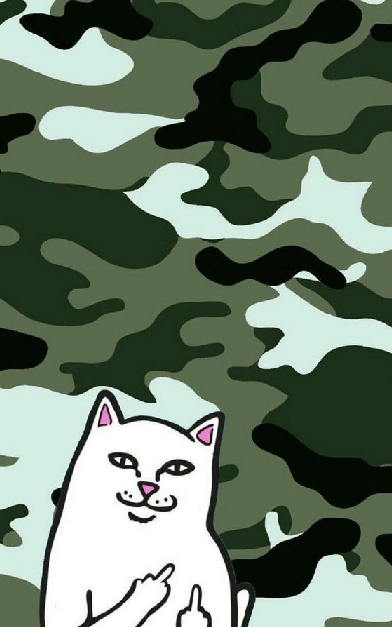 RIPNDIP Wallpapers Top Free RIPNDIP Backgrounds