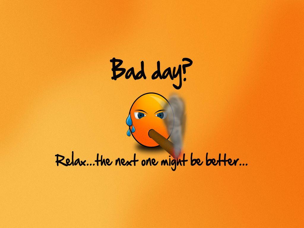 1024x768 Funny Wallpaper Bad Day Funny Advice Free Hd Wallpaper